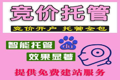 案例展示：SEM代运营服务公司助力企业拓展市场